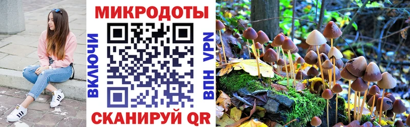 купить закладку  Козельск  Галлюциногенные грибы Psilocybine cubensis 